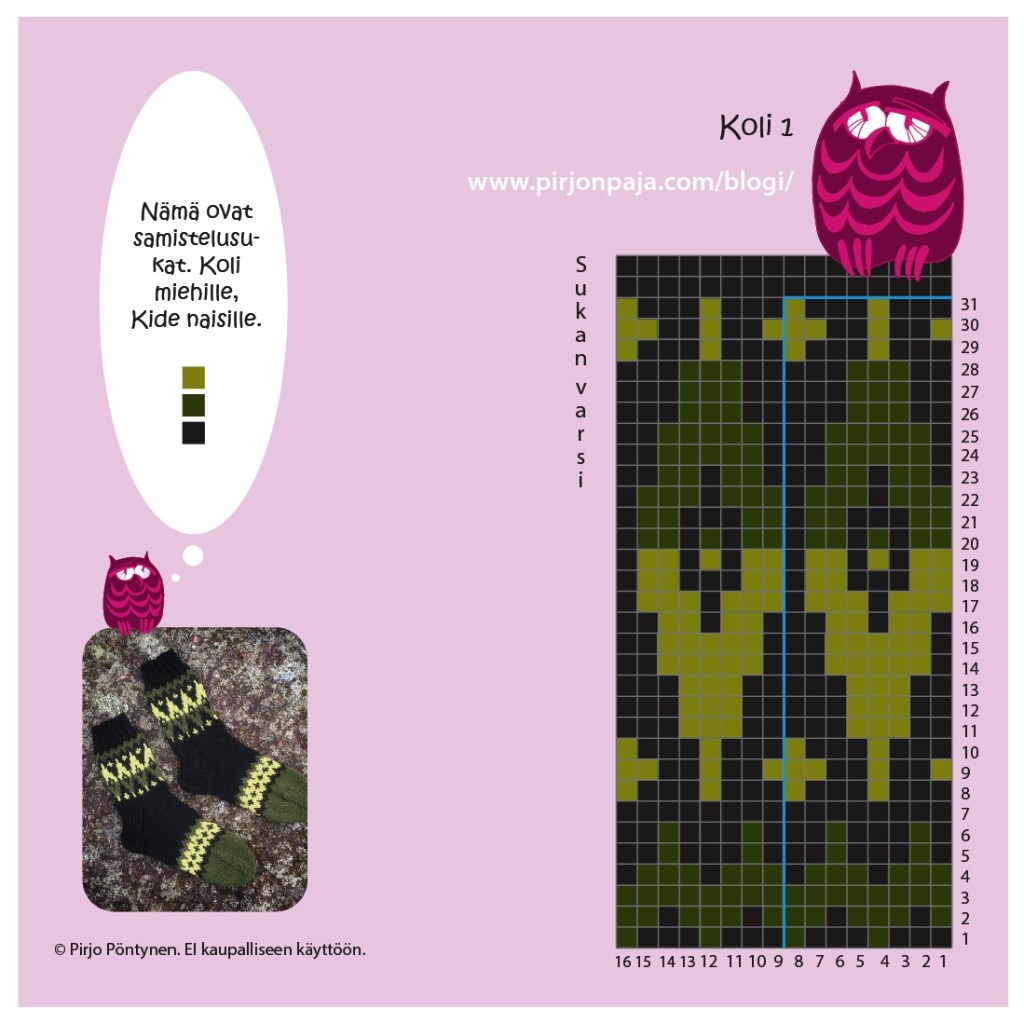 Koli ruutupiirros 1 Pirjon paja